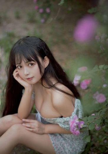霹雳啪啦_DVD手机在线观看